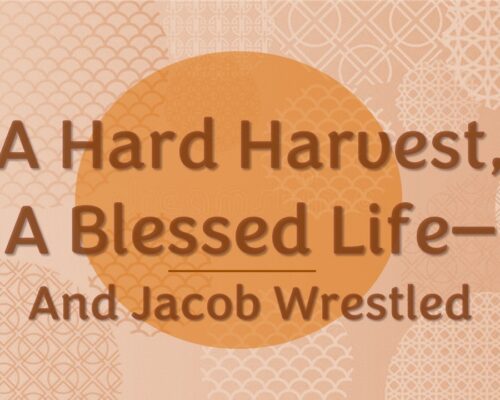 A Hard Harvest, A Blessed Life—Jacob Wrestled