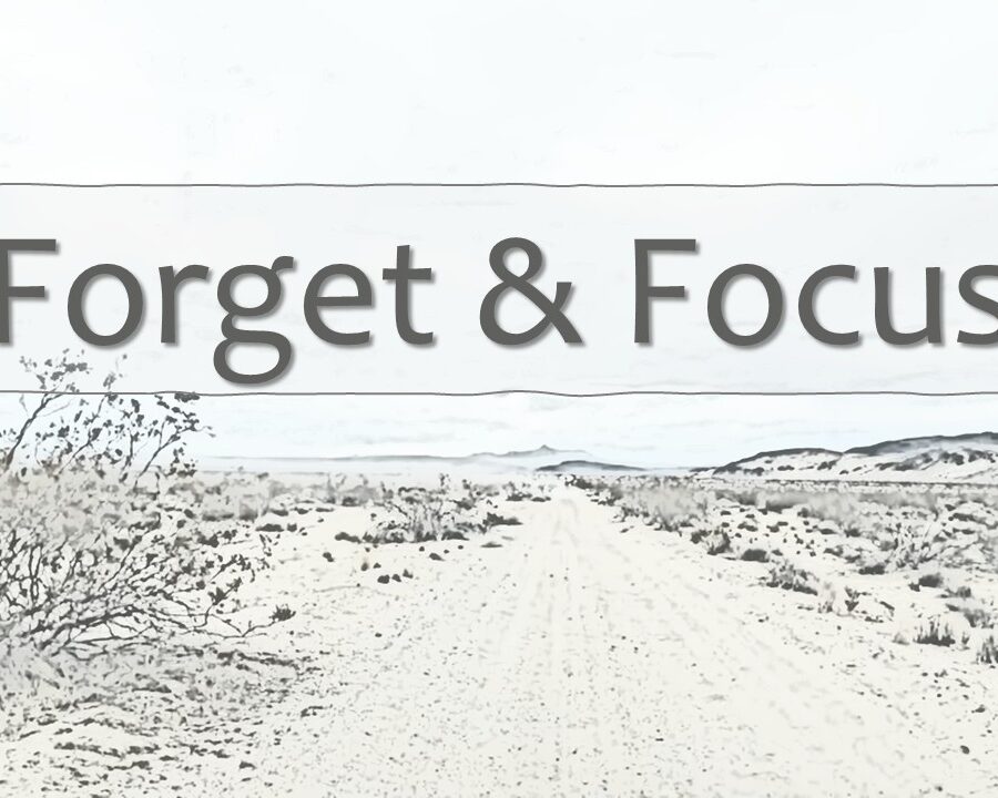 Forget & Focus Forget & Focus