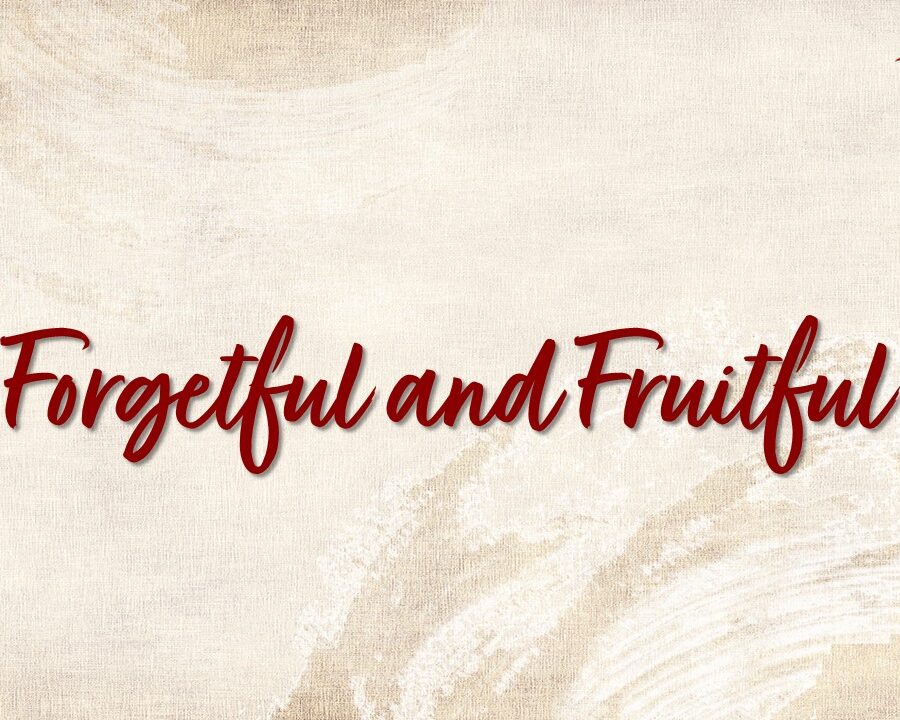 Forgetful and Fruitful Forgetful and Fruitful