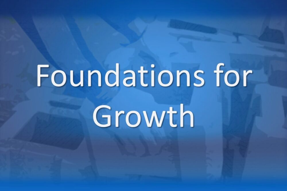 Foundations for Growth